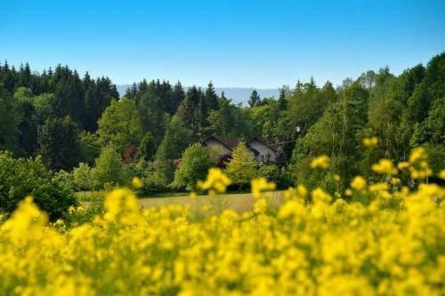 Altes Forsthaus Goseplack Hardegsen Exterior foto